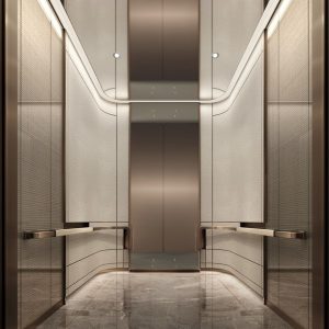 4-6 Person Passenger Elevator | 630kg-800kg VVVF Home Lift