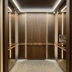 630kg Luxury Passenger Elevator, Customized Hotel Office Lift