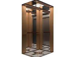 Home Elevator | Luxury Villa Residential Small Home Lift