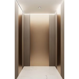 Low Noise Home Lift | Indoor Residential Villa Elevator