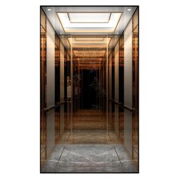 Mrl Passenger Elevator