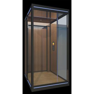 Small Residential Elevator Simple Installation Home Passenger Lift